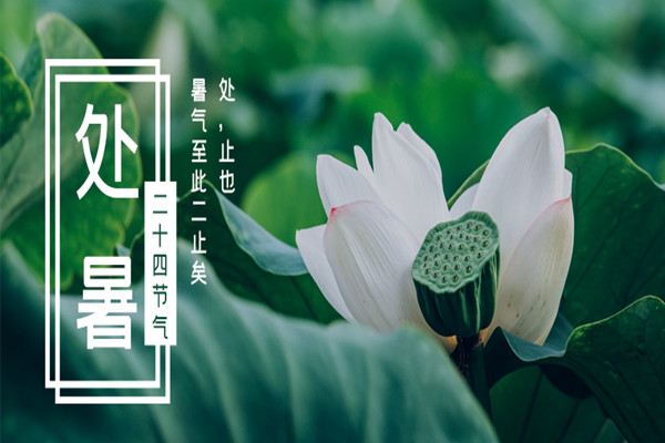 暑盡秋來，喜迎收獲的季節(jié)